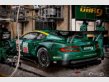F1 or Endurance paintings